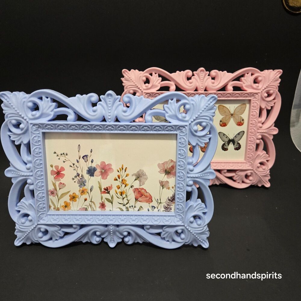 Baroque 4x6 Photo Frames Lot 2 Pastel Pink Blue Filigree Regency core Decor